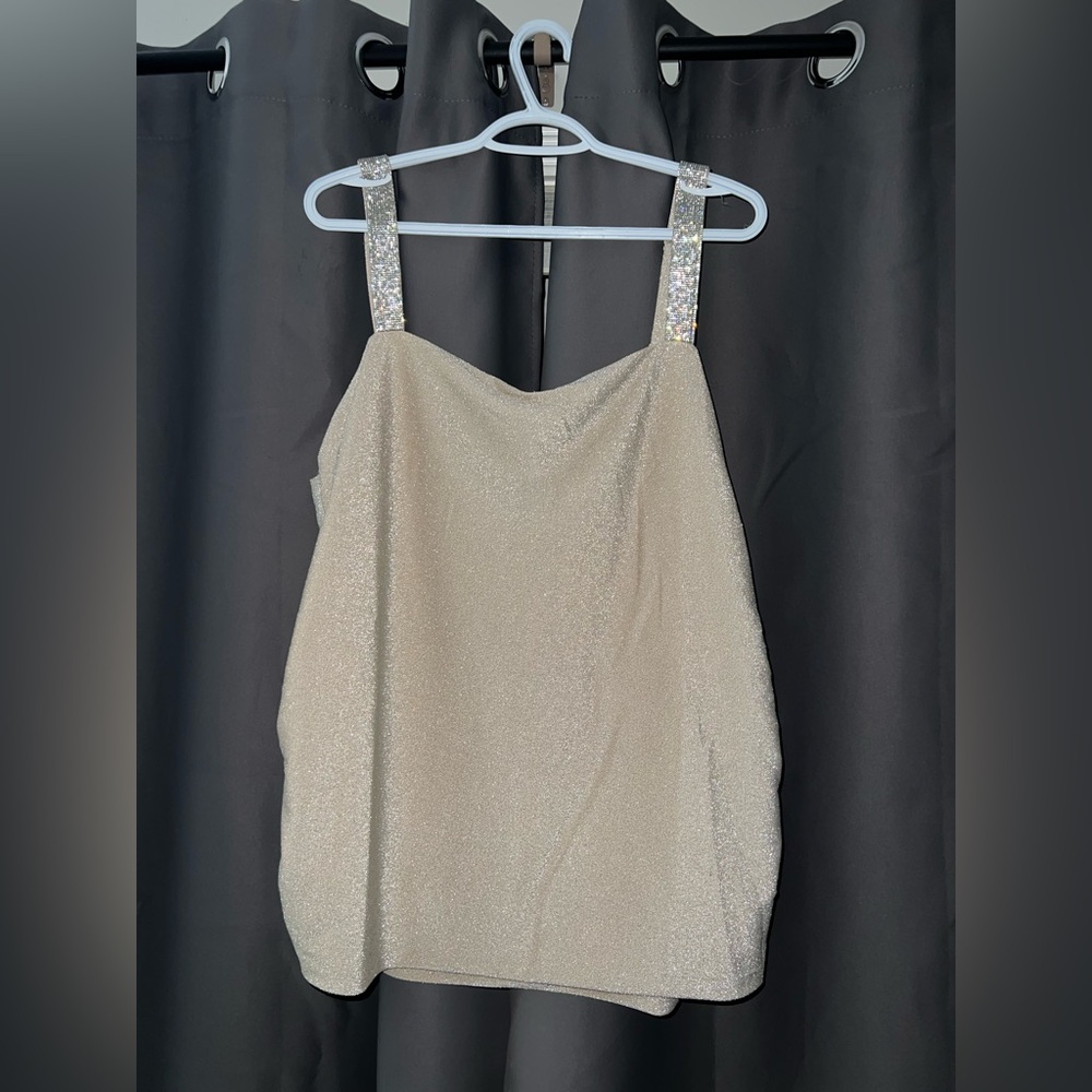 NWT 3X Elegant Champagne Sleeveless Top from Warehouse One